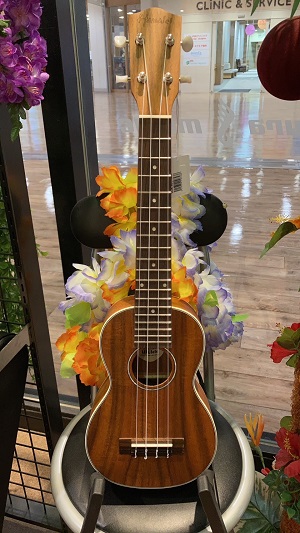 HanaleiHUK-500