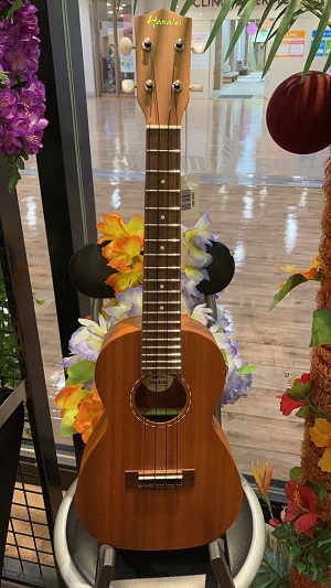 HanaleiHUK-80C