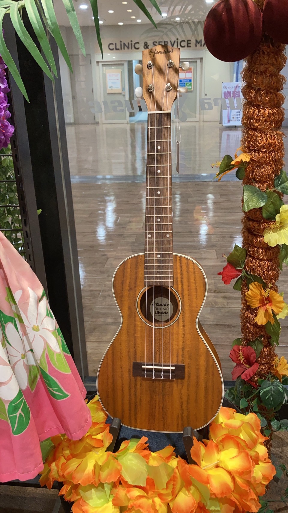HanaleiHUK-500C