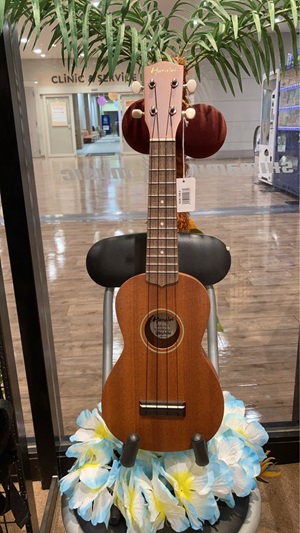 HanaleiHUK-10SⅡ