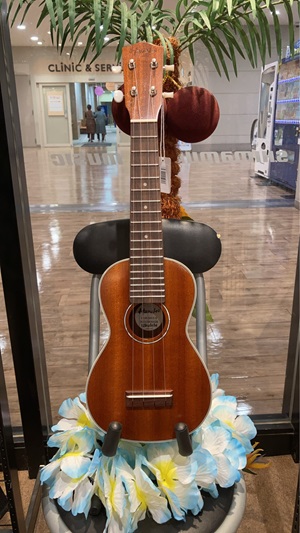 HanaleiHUK-300SⅡ