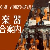 弦楽器総合案内