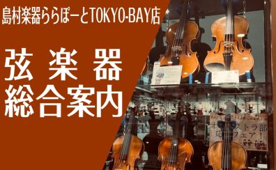 弦楽器総合案内