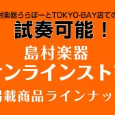 オンラインショップのみ掲載のギターを試奏できます！！