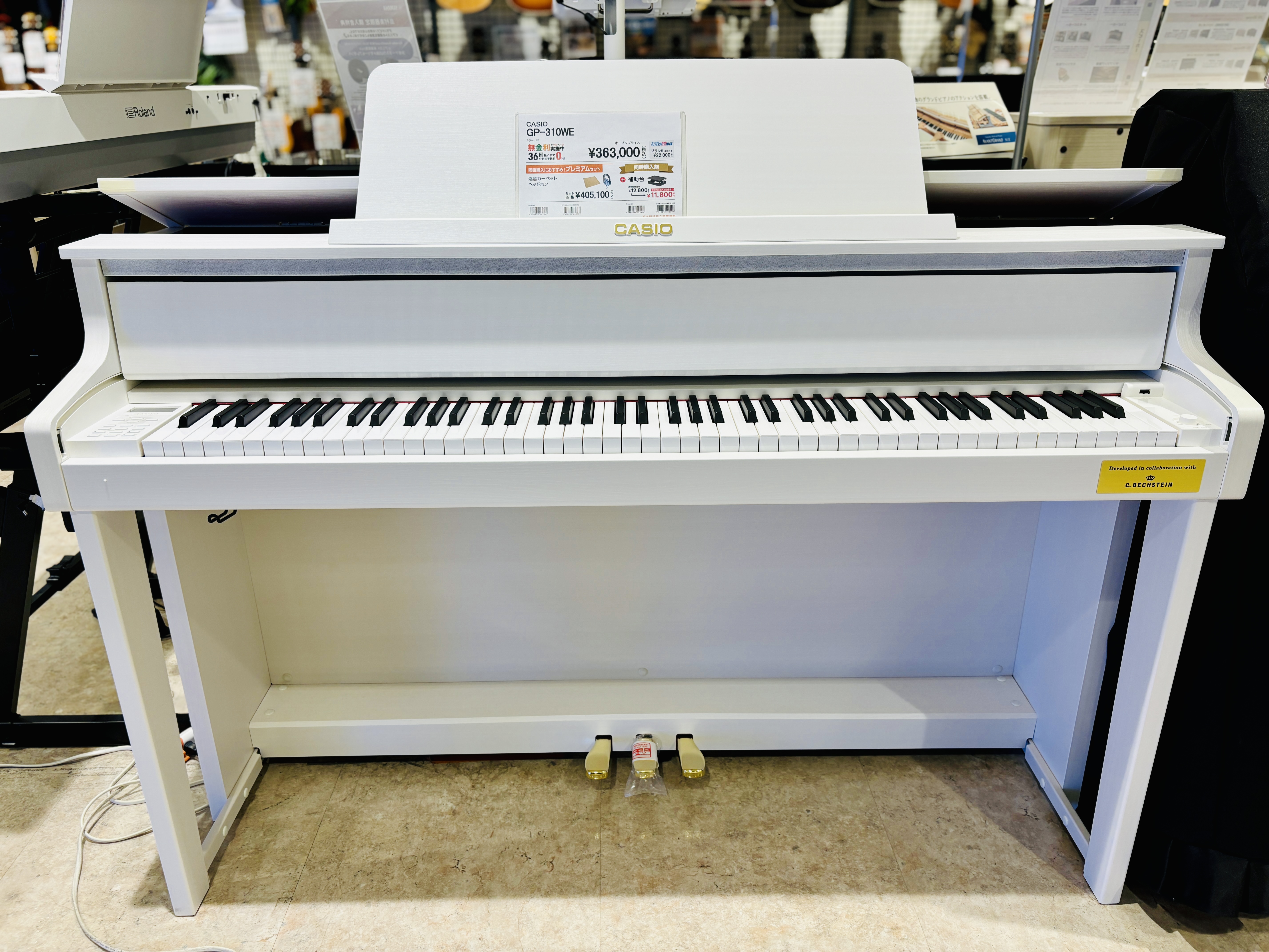 CASIOGP-310