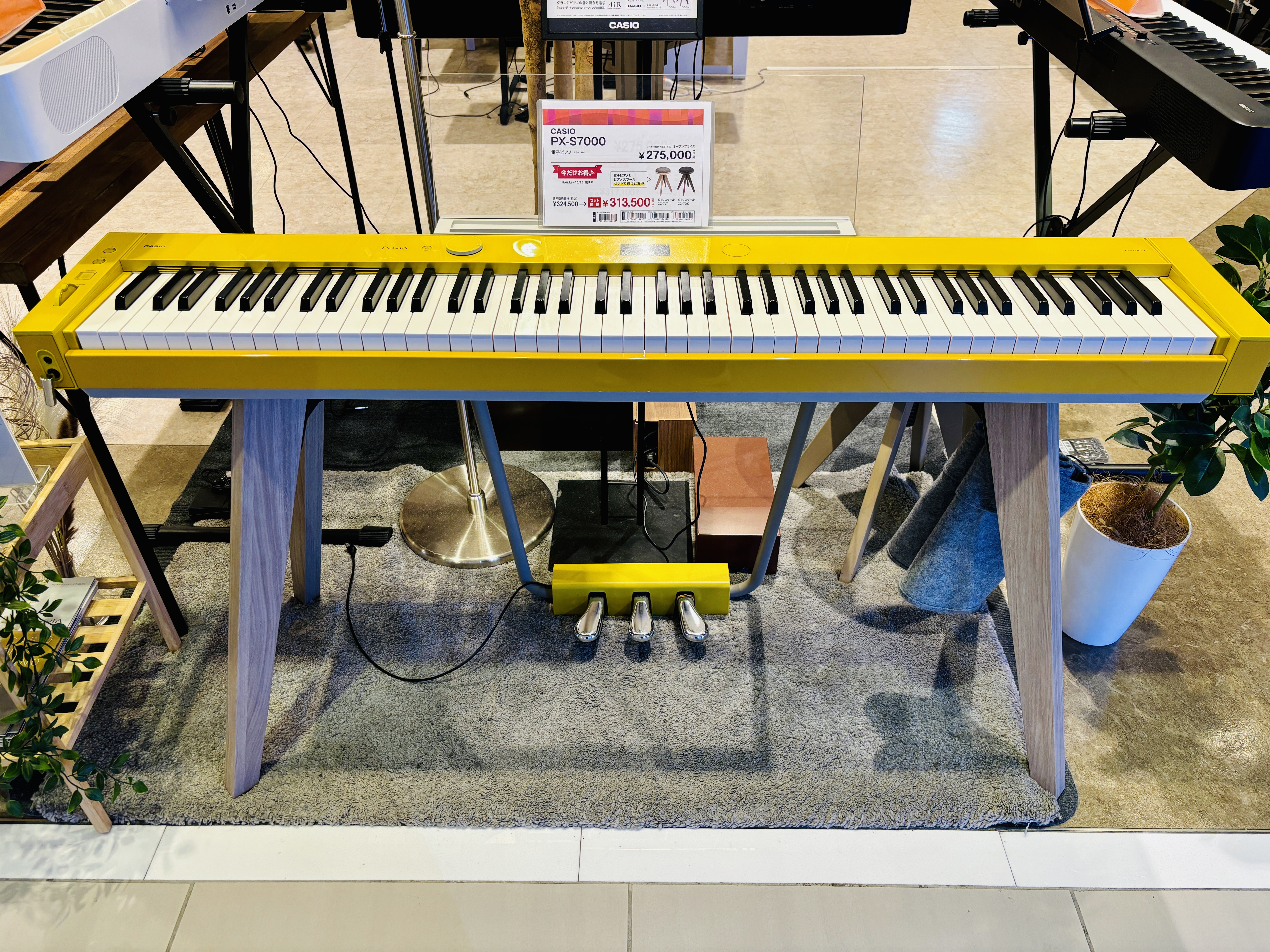 CASIOPX-S7000HM