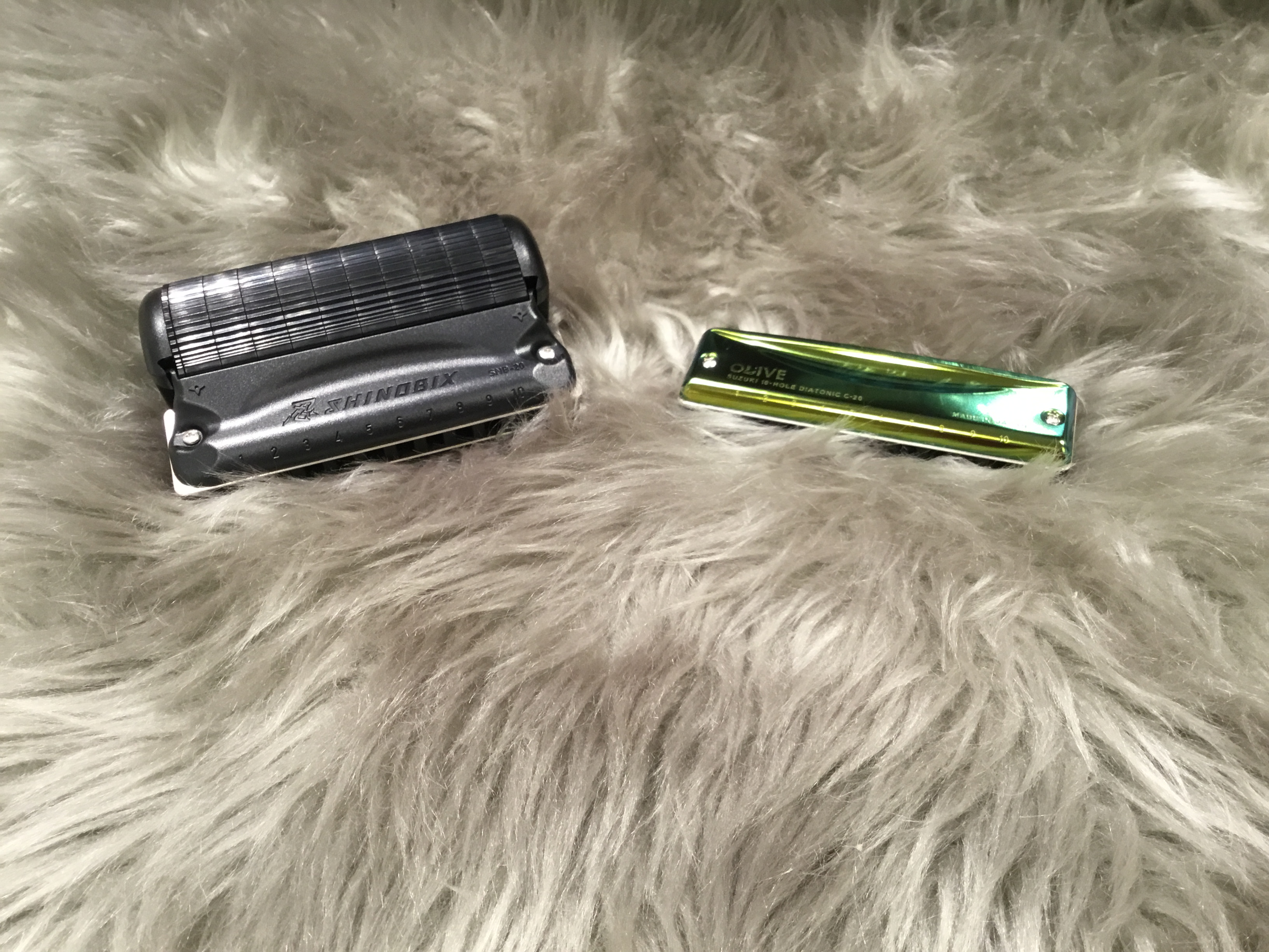 10穴ハーモニカ新入荷！