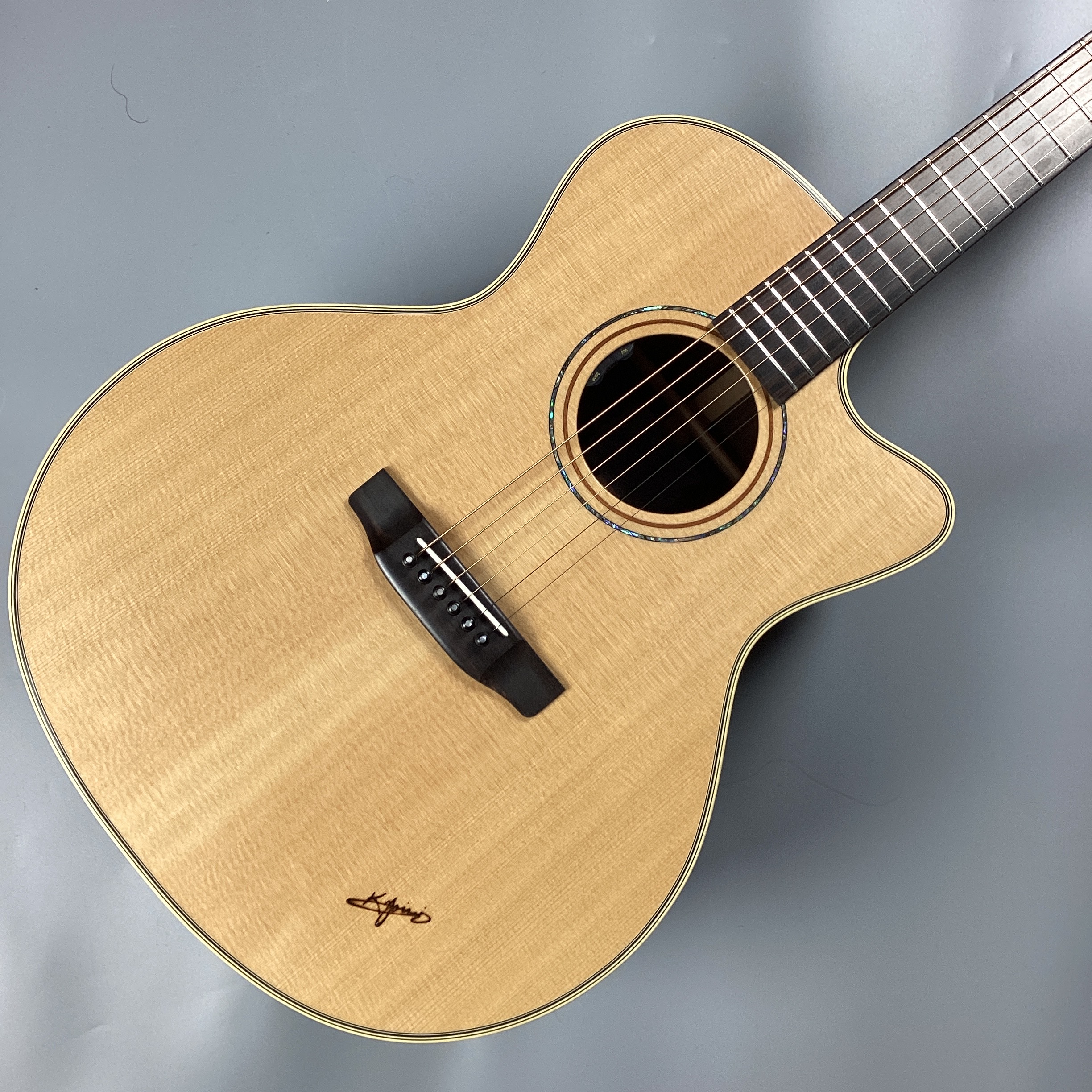 FBL-120CE w/HiFi