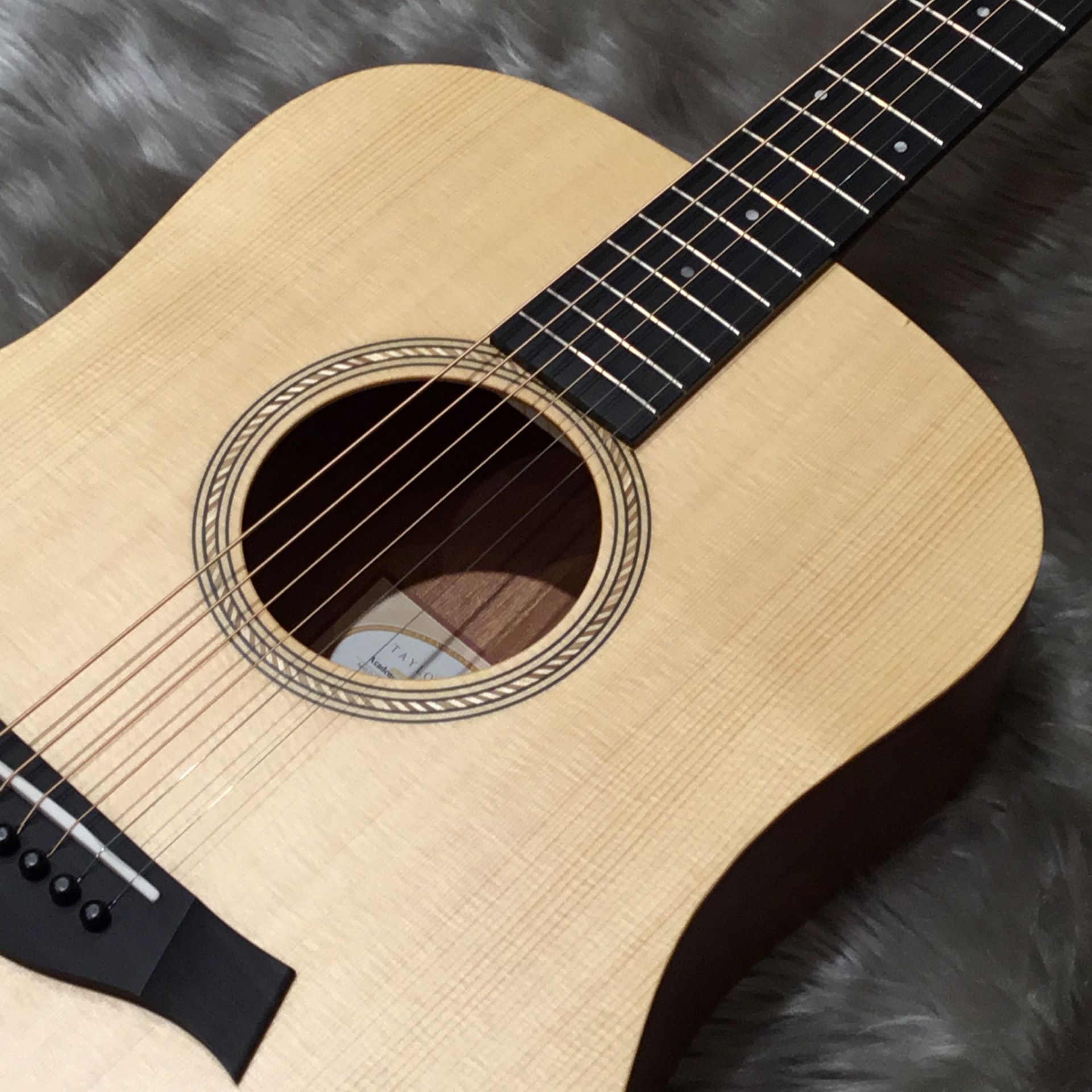 Taylor/ Academy10入荷しました！