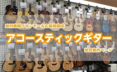 アコースティックギターのことなら島村楽器広島祇園店へ！