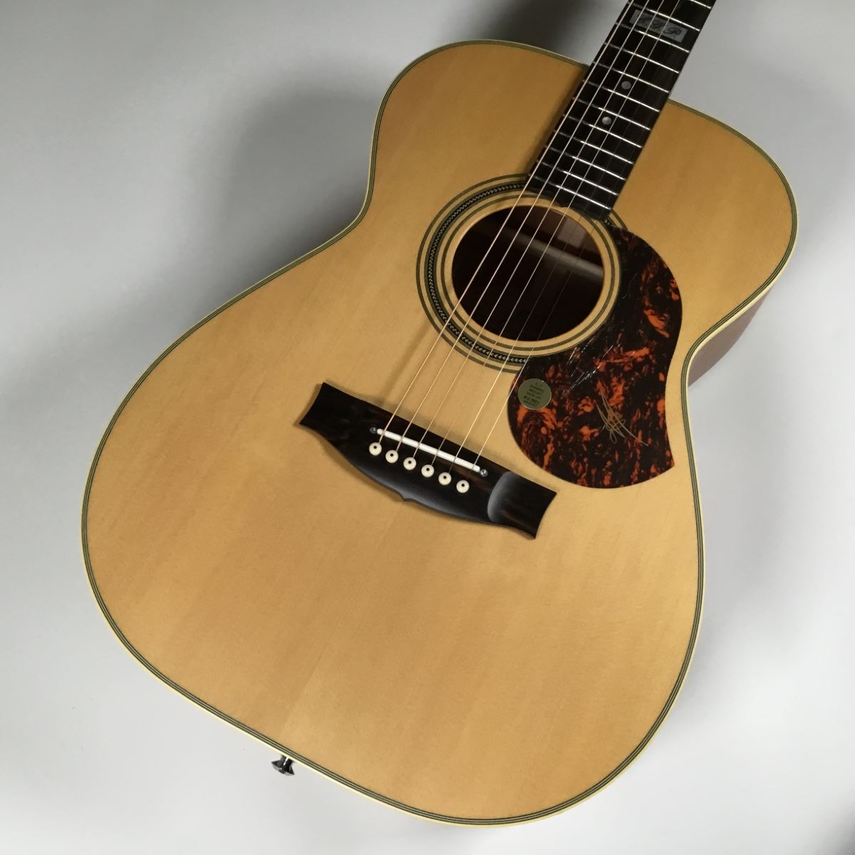 Maton　EBG808TEEBG808TE