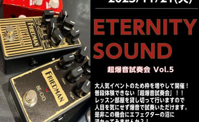 【エフェクター】11/21(火)『ETERNITY SOUND ～超爆音試奏会Vol.5～』を開催します！！！