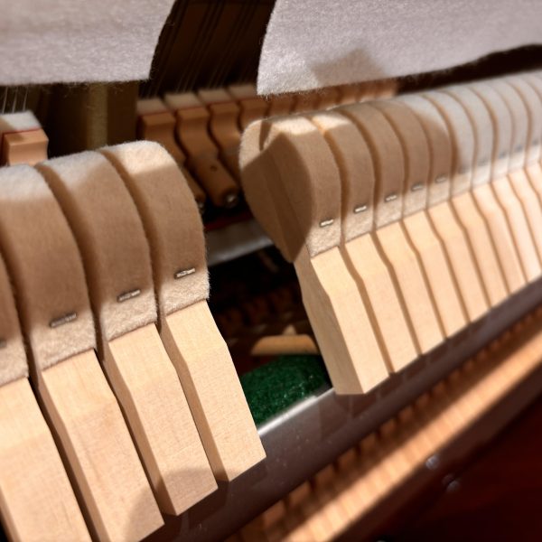 カワイ・ハンマー