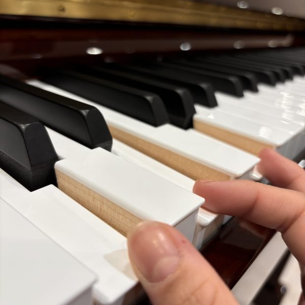 アクリル白鍵/フェノール黒鍵