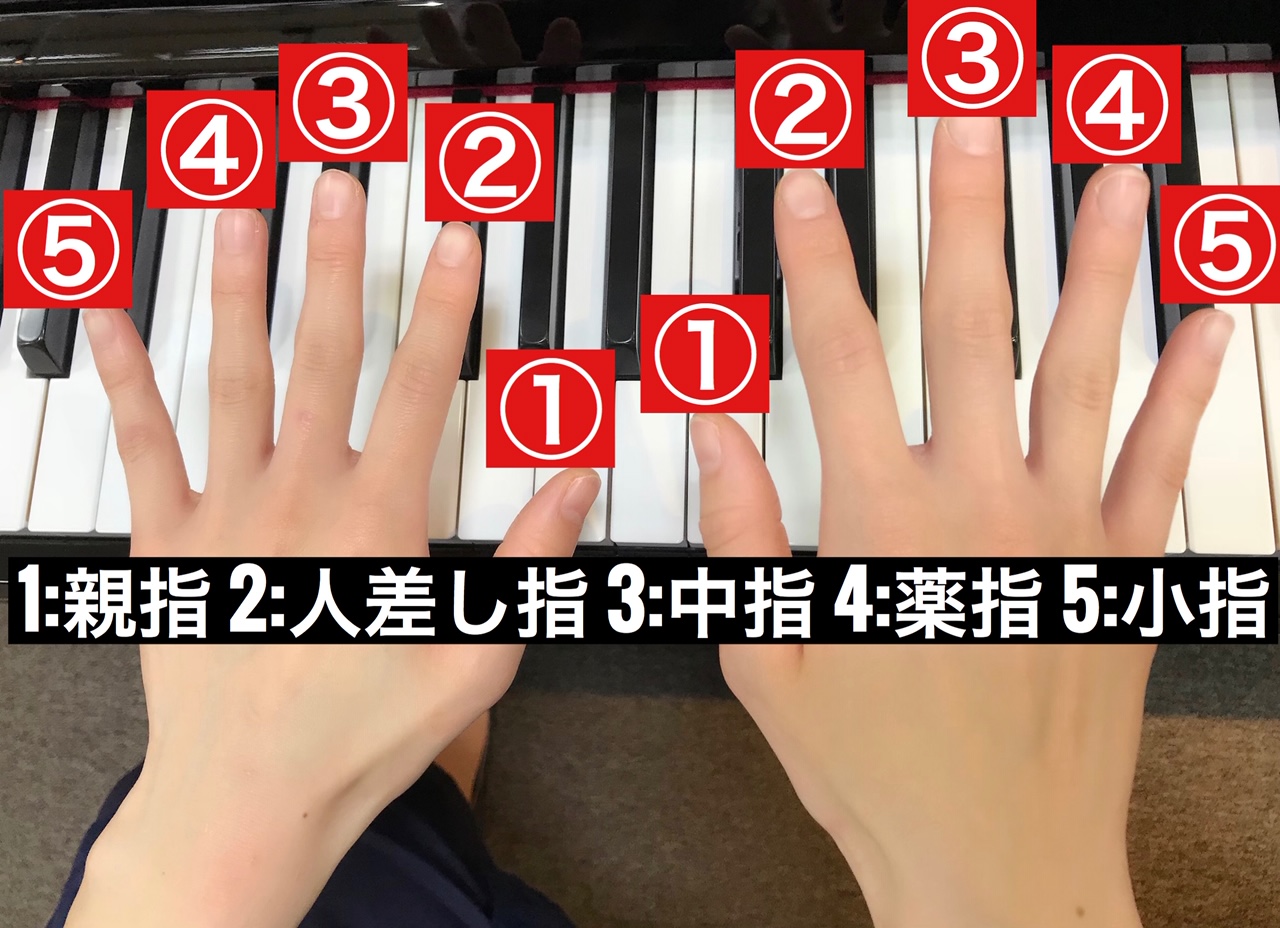 ピアノ初心者必見 ドレミふりがな 指番号 付きのやさしいピアノ楽譜のご紹介 八王子店 店舗情報 島村楽器
