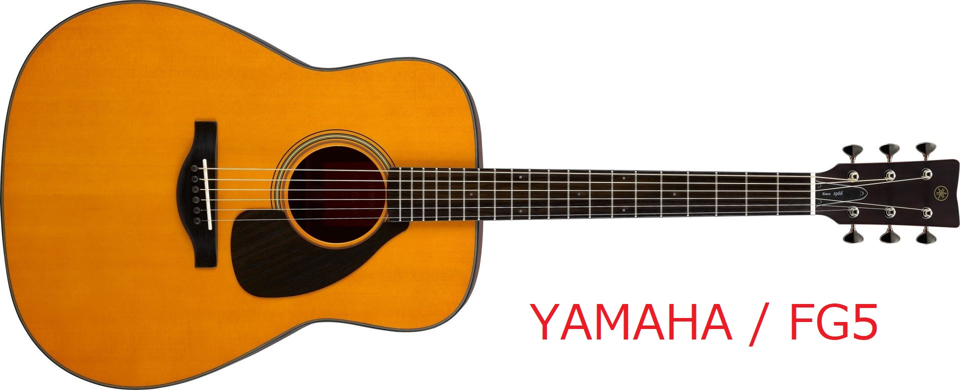 【アコーステックギター】YAMAHA／FG5　入荷しました！