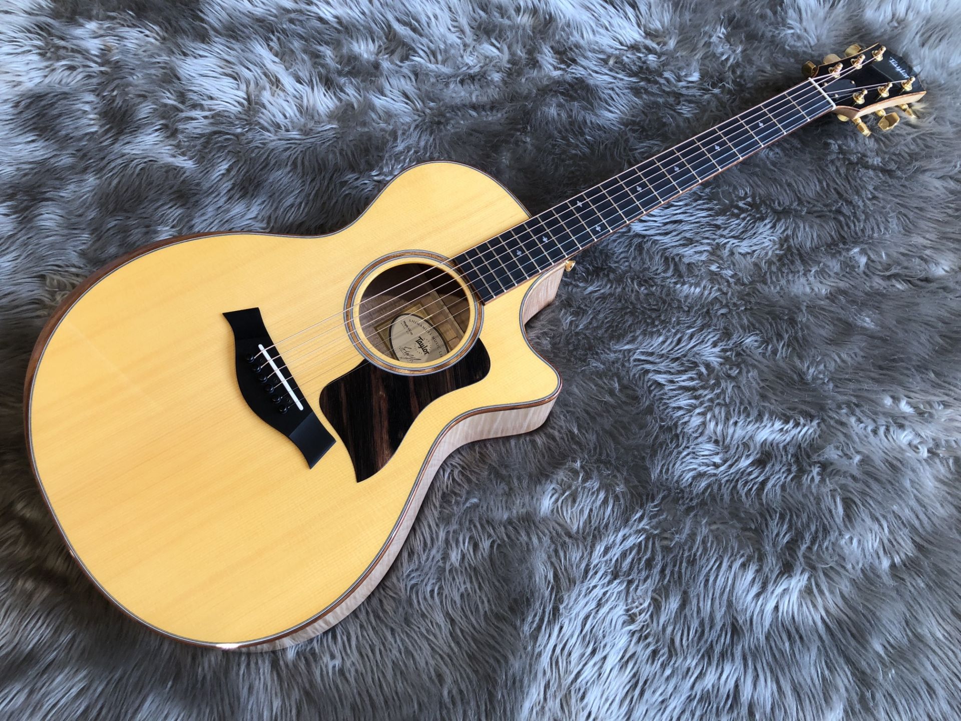 【アコースティックギター】Taylor – GCce-Maple SP LTD/限定モデル