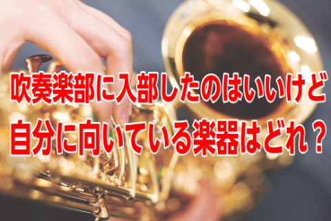吹奏楽部に入部したのはいいけど自分に向いている楽器はどれ 吹奏楽部に入部したのはいいけど自分に向いている楽器はどれ