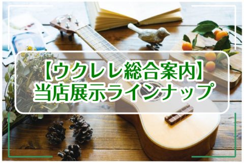 福岡・博多でウクレレご購入なら、ご相談ください【ウクレレ専門アドバイザー常駐】