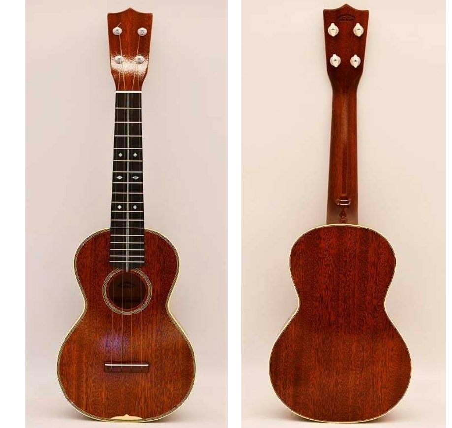 tkitki ukuleleAM-C20s