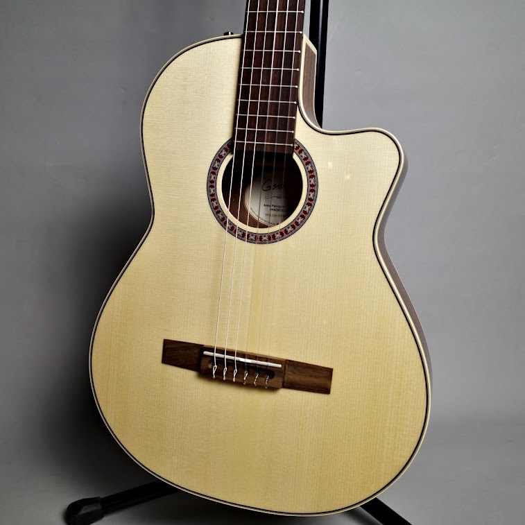 GODIN GUITAR エレガット\nArena CW QIT