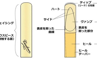 クラリネット/サックスのリード選びで知っておきたい事【木管楽器】