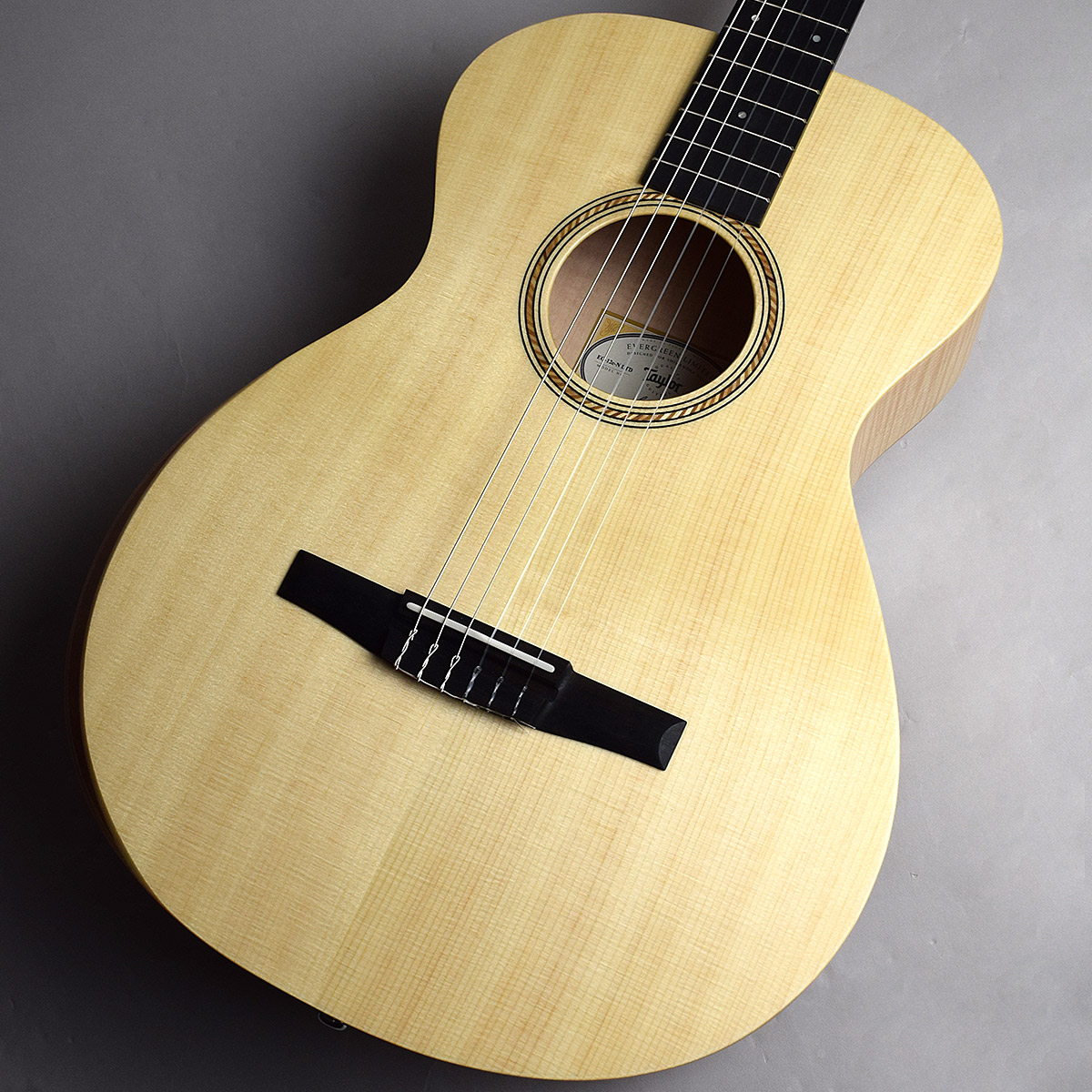 TaylorLTD EG Academy 12e-N