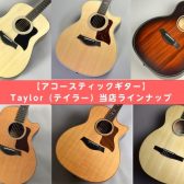 【アコースティックギター】Taylor（テイラー）当店ラインナップ