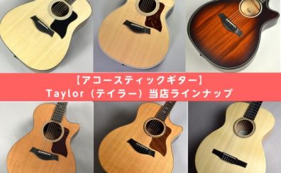【アコースティックギター】Taylor（テイラー）当店ラインナップ