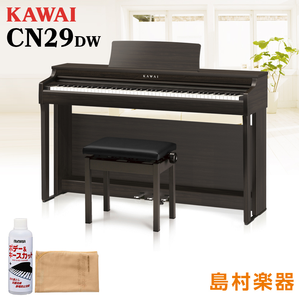 KAWAI CN29