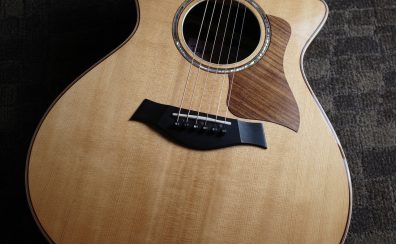 【中古】Taylor 812ce V-Class 2019【Taylorの王道、800番シリーズ】