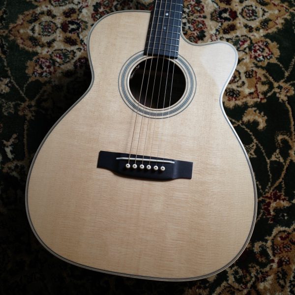 ASTURIAS (アストリアス) Solo Standard S/PU<br />
<br />
¥ 198,000