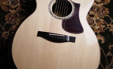 Eastman AC822CE 【国内入荷の少ない貴重な一本】