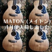 MATON (メイトン) 4月便入荷しました【アコースティックギター】