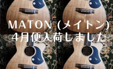 MATON (メイトン) 4月便入荷しました【アコースティックギター】