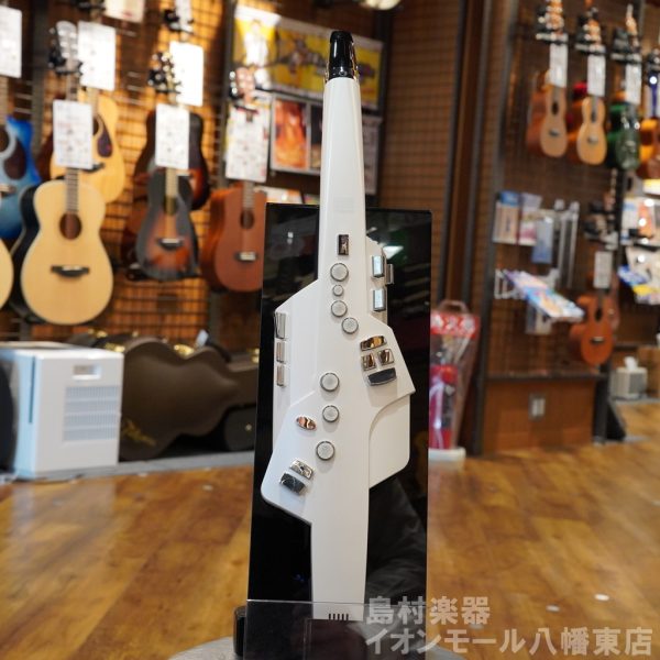 【アウトレット】Roland AE-10／Aerophone<br />
<br />
￥ 54,800