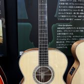 【ご予約受付中！】MATON Custom Shop Karrack Fiddleback Blackwood【限定一本製作】