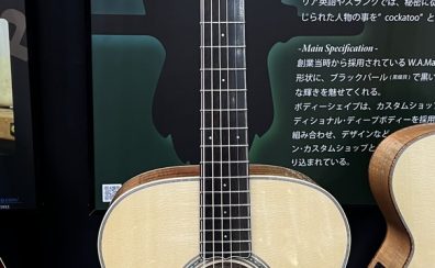 【ご予約受付中！】MATON Custom Shop Karrack Fiddleback Blackwood【限定一本製作】