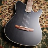 【再入荷】Ibanez TOD10N TKF エレガットギター Tim Henson Signature ティム・ヘンソン シグネチャー エレガットギター