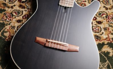 【再入荷】Ibanez TOD10N TKF エレガットギター Tim Henson Signature ティム・ヘンソン シグネチャー エレガットギター