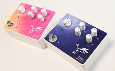 【Fukuoka Guitar Show 2023】Limetone Audio focus flat tuning~2 Limited colors are launched！！