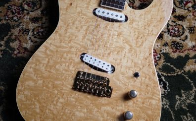 【中古】FERNANDES TEJ LTD Custom 布袋寅泰シグネチャーモデル