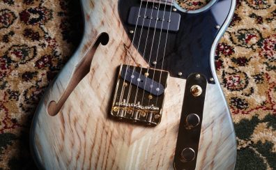 【限定生産モデル】Bacchus T-Master Hollow WSE’23/R TBL-B