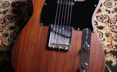 【中古】Provision VTE-AR/SG149-SNTL【ローズウッドを贅沢に使用した一本】