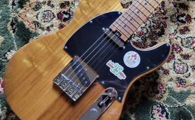【中古】Bacchus BTE-ASH25 WRS/M エレキギター