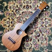 ASTURIAS Maho DSH 30th Anni.【限定30本製作のうちの貴重な1本】