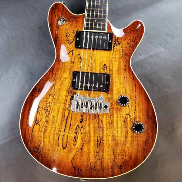 T's Guitars Arc-STD22/VS100N/CTM / Violine Burst<br />
<br />
￥605,000 