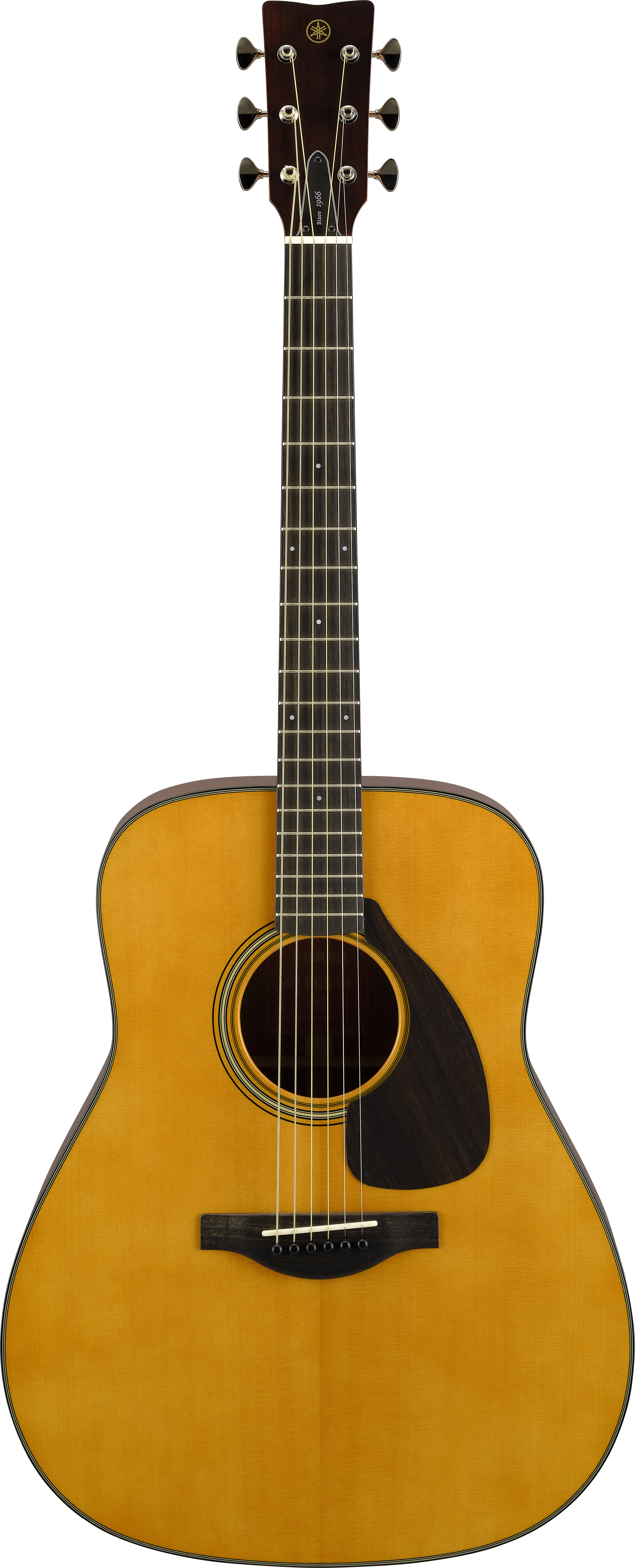 新品YAMAHA FG5G