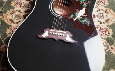 Gibson Dove Original Ebony #21304081 【Gibson Montana 現地選定品】