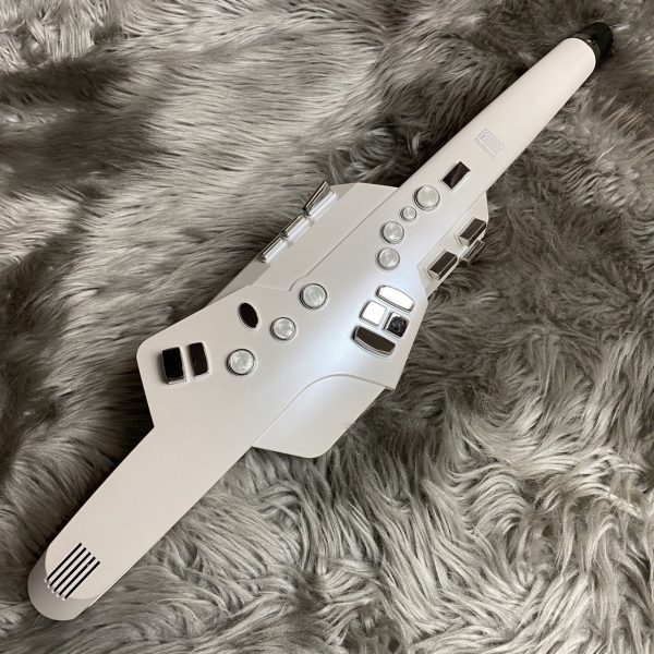 Roland Aerophone AE-10<br />
<br />
¥39,600 